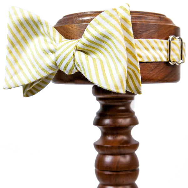 Cotton | White + Metallic Gold Stripes